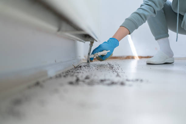 Best Residential Pest Control  in Encinal, TX